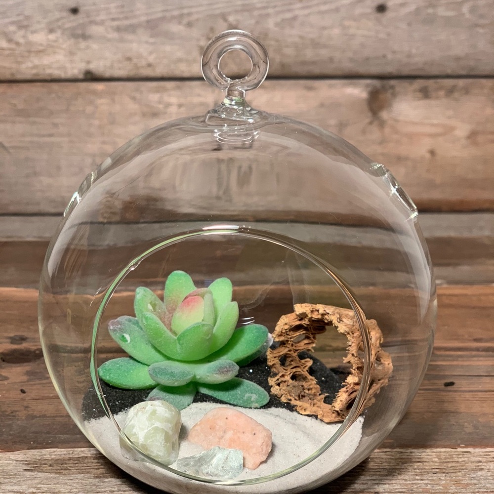 Terrariums!! - Picture 5 of 6